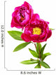 garden peony flowers Wall Decal