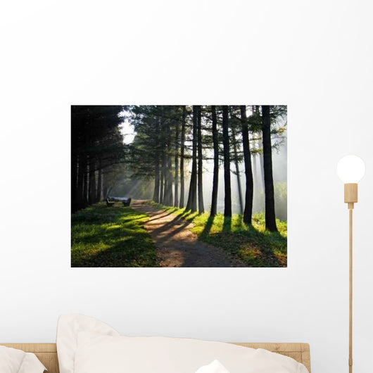 Morning Park Wall Decal