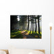 Morning Park Wall Decal