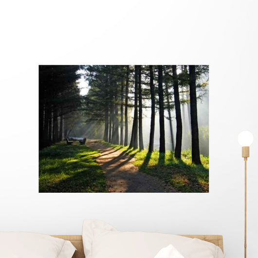 Morning Park Wall Decal