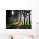 Morning Park Wall Decal