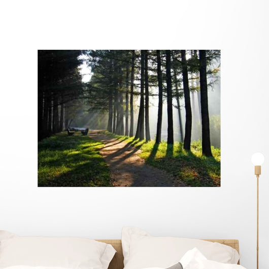 Morning Park Wall Decal
