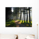 Morning Park Wall Decal
