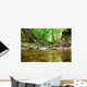 Mountain Spring Wall Mural