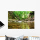 Mountain Spring Wall Mural