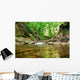 Mountain Spring Wall Mural