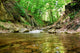 Mountain Spring Wall Mural