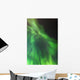 A green northern lights corona Wall Mural