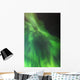 A green northern lights corona Wall Mural