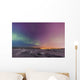 Northern lights shine above city skyline in this nighttime view Wall Mural