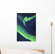 A green northern lights corona Wall Mural