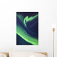 A green northern lights corona Wall Mural