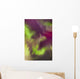 A Green And Magenta Northern Lights Corona Wall Mural