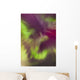 A Green And Magenta Northern Lights Corona Wall Mural