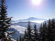 Photo Montagne Et Sapin Wall Decal