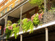French Quarter Balcony Wall Mural