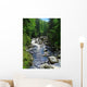Vydra River Wall Decal