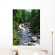 Vydra River Wall Decal