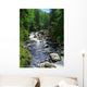 Vydra River Wall Decal