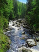 Vydra River Wall Decal