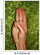 Scout Sign and Salute