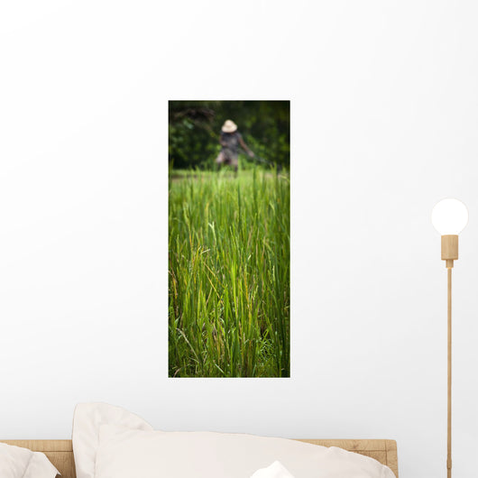 Worker On Rice Field Wall Mural