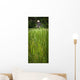 Worker On Rice Field Wall Mural