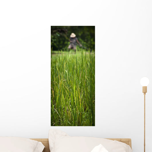 Worker On Rice Field Wall Mural