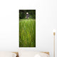 Worker On Rice Field Wall Mural