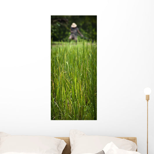 Worker On Rice Field Wall Mural