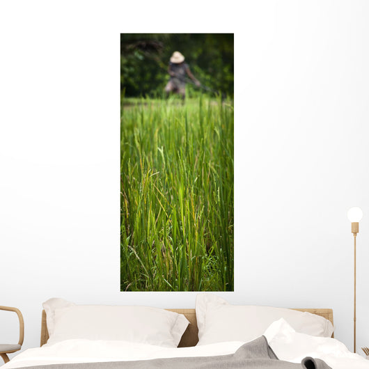 Worker On Rice Field Wall Mural