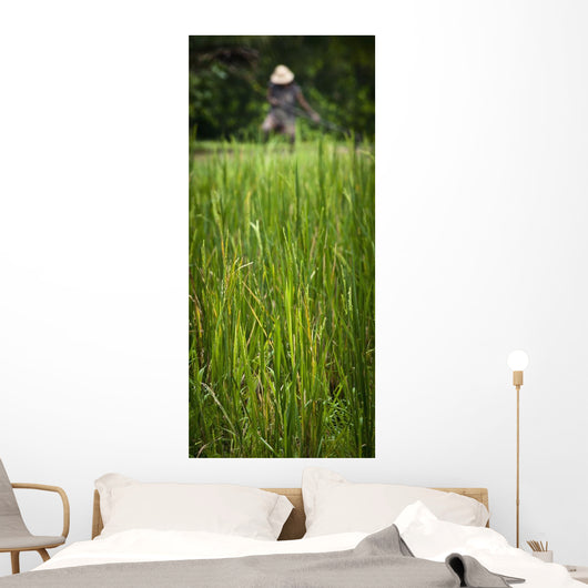Worker On Rice Field Wall Mural