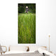 Worker On Rice Field Wall Mural