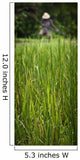 Worker On Rice Field Wall Mural