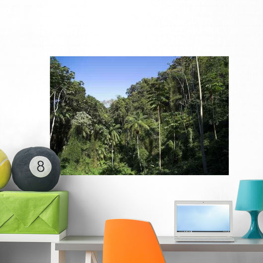 Atlantic Rain Forest Wall Decal Design 2