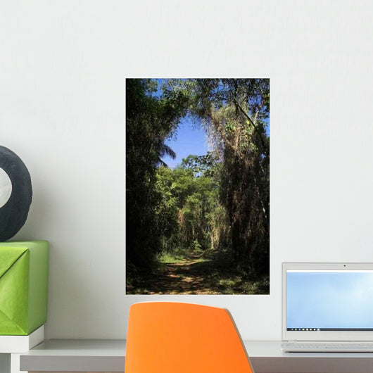 Atlantic Rain Forest Wall Decal Design 1