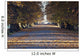 Autumn Leaves On Path In Greenwich Park Wall Mural