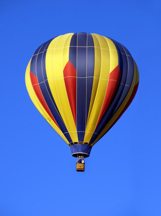 Colorful Hot Air Balloon Wall Mural
