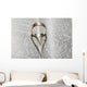 Close up of a gold ring with the shadow of an heart Wall Mural