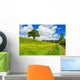 Tree Spring Field Wall Decal
