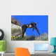 Peregrine Falcon Wall Mural