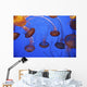 Jellyfish In Aquarium Wall Mural