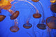 Jellyfish In Aquarium Wall Mural