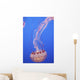 Jellyfish In Aquarium Wall Mural