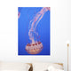 Jellyfish In Aquarium Wall Mural