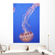 Jellyfish In Aquarium Wall Mural