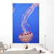 Jellyfish In Aquarium Wall Mural