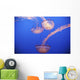 Jellyfish In Aquarium Wall Mural