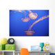 Jellyfish In Aquarium Wall Mural