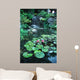 Lily pond Wall Mural